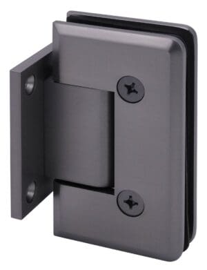 Close-up of a black metal door hinge with screws.