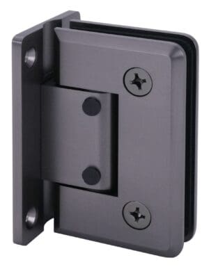 Close-up of a black metal door hinge with screws.