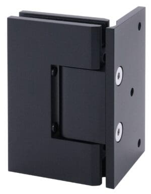 Close-up of a black metal hinge on a door or panel.